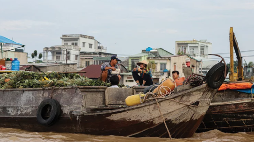 Strengthening Flood Resilience in Rapidly Growing Cities