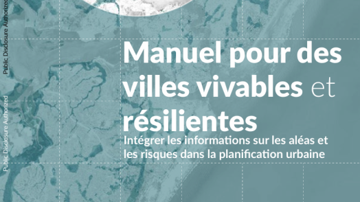 Manuel pour des villes vivables et résilientes