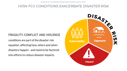 Managing Disasters in FCV Settings (English/French)