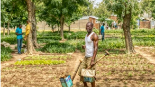 The Role of Nature-Based Solutions in DRM in FCV-Affected Countries