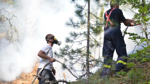 Bulgaria tackles wildfire risk with integrated management