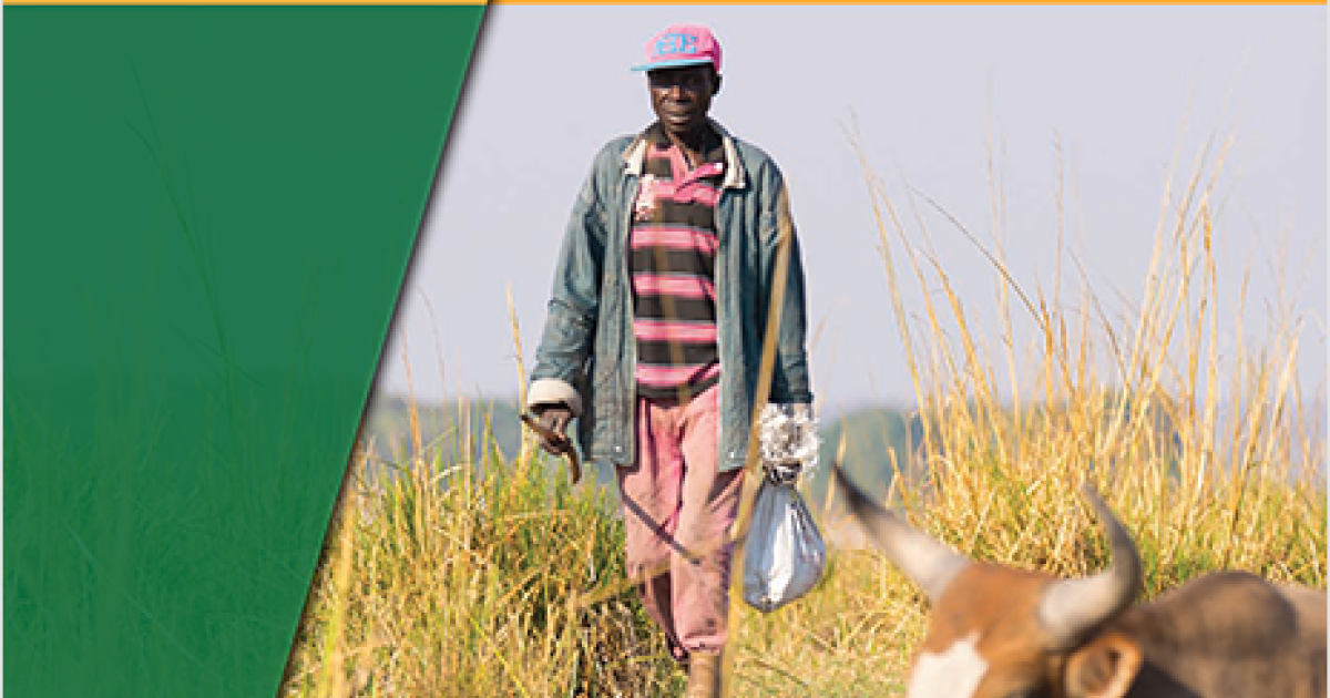 Zimbabwe Agriculture Sector Disaster Risk Assessment Report | GFDRR | GFDRR