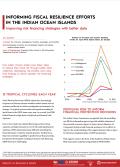 Informing Fiscal Resilience Efforts in the Indian Ocean Islands