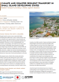 Climate and Disaster Resilient Transport in Small Island Developing States