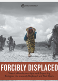 Forcibly Displaced