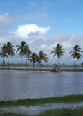 Story of Impact - Communicating Flood Risk Along Guyana’s Coast