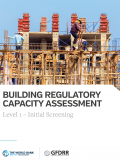 Building Regulatory Capacity Assessment: Level 2 Detailed Exploration