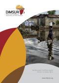 Disaster Risk Management, Sustainability and Urban Resilience (DiMSUR) Brochure