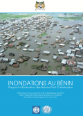 This is the cover for the benin pda