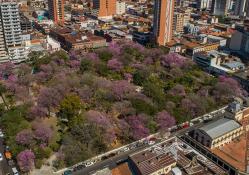 Nature-based solutions for resilient cities and restoring local biodiversity
