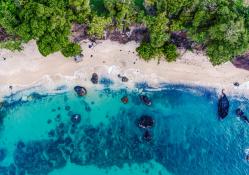 Photo by Hugh Whyte on Unsplash