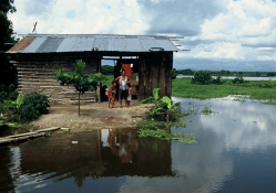 Photo: © Scott Wallace / World Bank