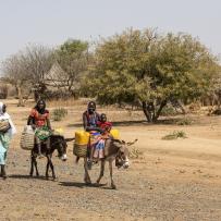 Inclusive Disaster Risk Management and Gender Equality